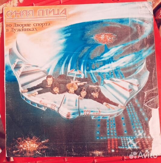 Коллекция пластинок (винил)