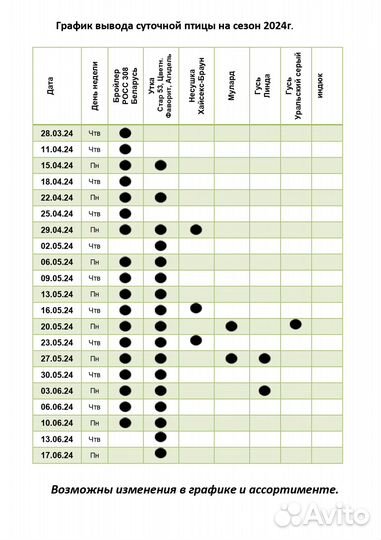 Курочка молодка, цыплята, утята