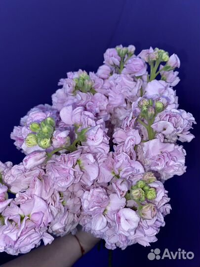 Цветы,букеты,композиции с доставкой по городу