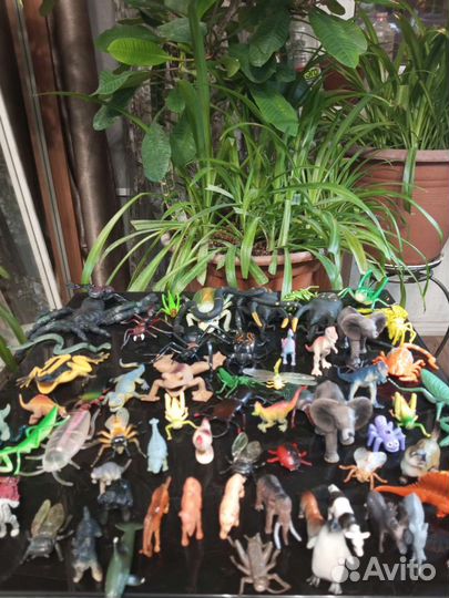 Коллекция животных цена за всё