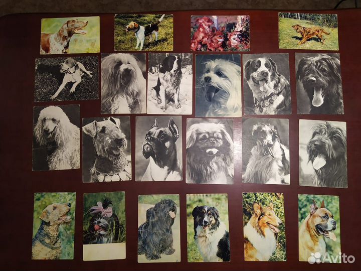 Открытки. Наборы открыток. Звезды. Кинозвезды. 3