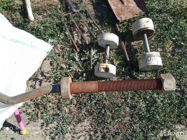 Гриф и блины