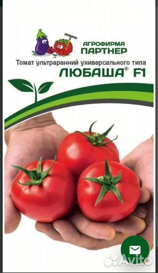 Рассада томатов, перцев, баклажан и огурцов