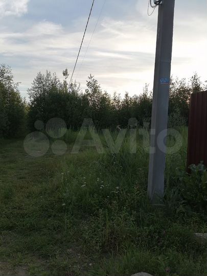Участок 8 сот. (СНТ, ДНП)