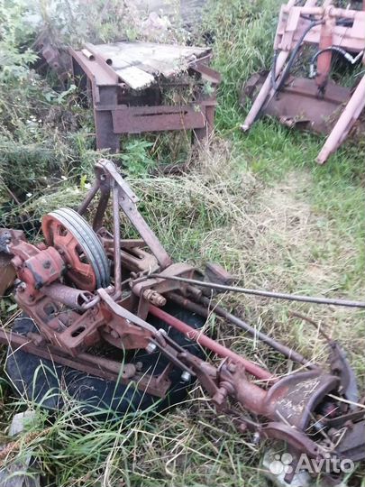 Сенокоска сегментная