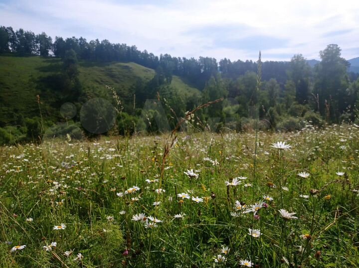 Участок 15 га (СНТ, ДНП)