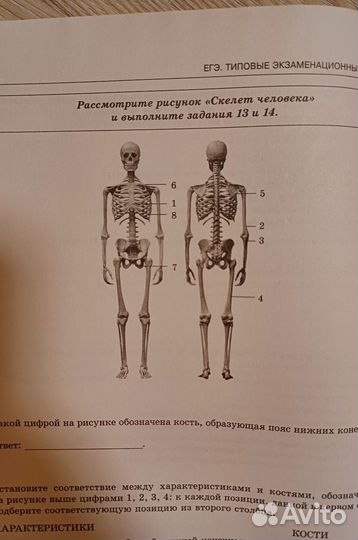 Сборник ЕГЭ по биологии 2024 Рохлов