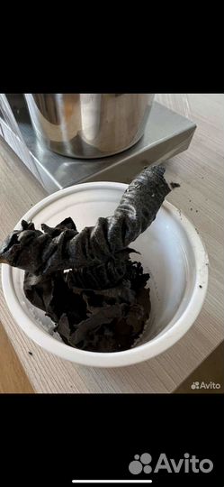 Шнековый маслопресс