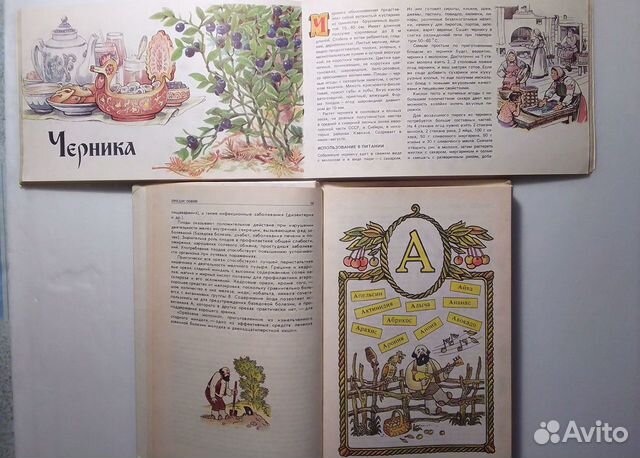 Книги Фруктовая кулинария, Напитки из ягод