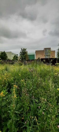 Участок 12 сот. (ИЖС)