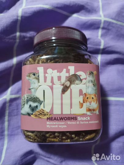 Little One мучной червь, лакомство для грызунов