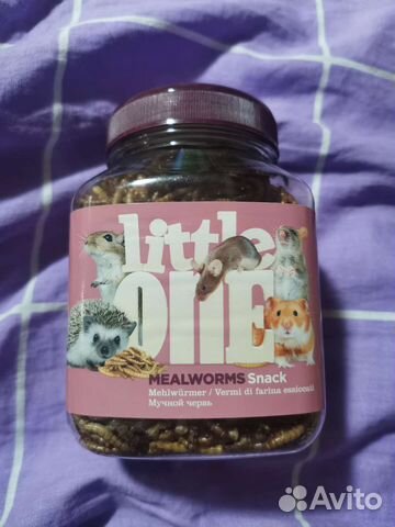 Little One мучной червь, лакомство для грызунов