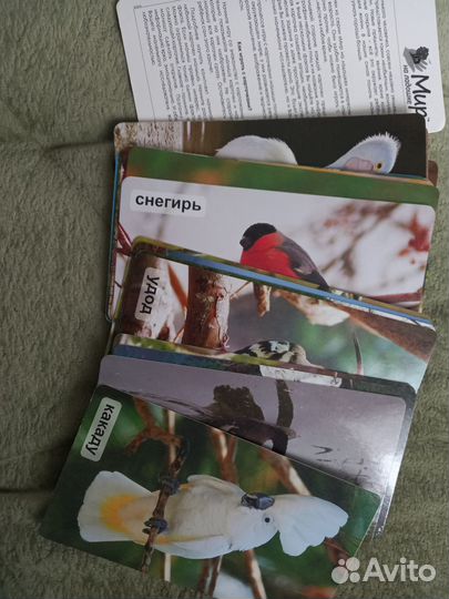 Комплект карточек Умница