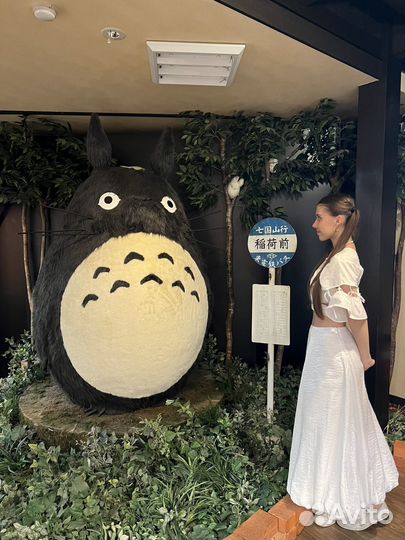 Репетитор по японскому языку