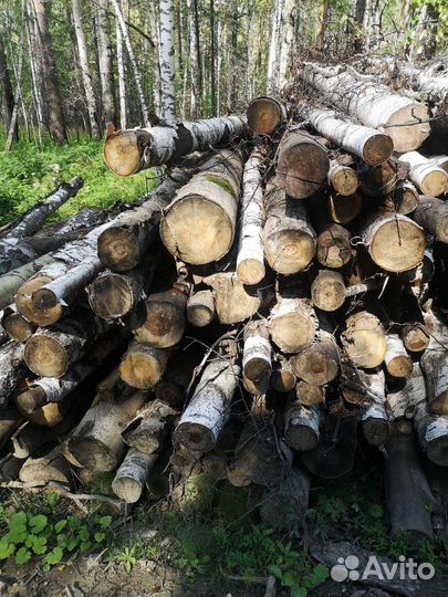 Лес кругляк пиловочник