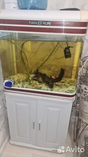 Аквариум с тумбой бу