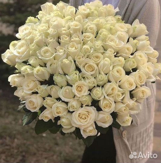 Розы Букеты Цветы Розы 31 101 151 201 Доставка