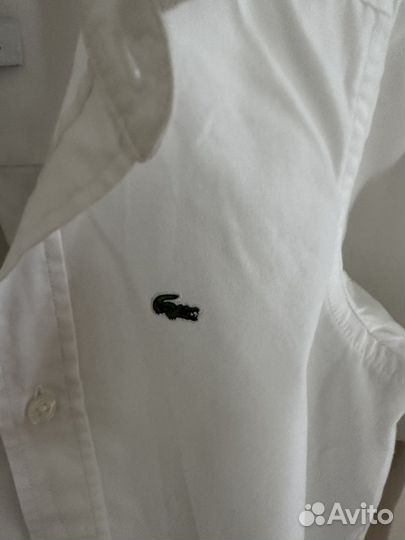 Рубашка для мальчика lacoste 4 (104)