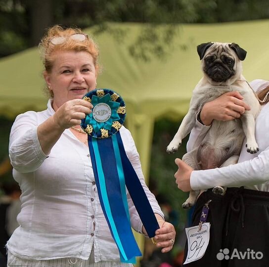 Услуги хендлера