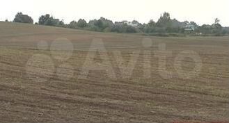 Участок 94 сот. (СНТ, ДНП)