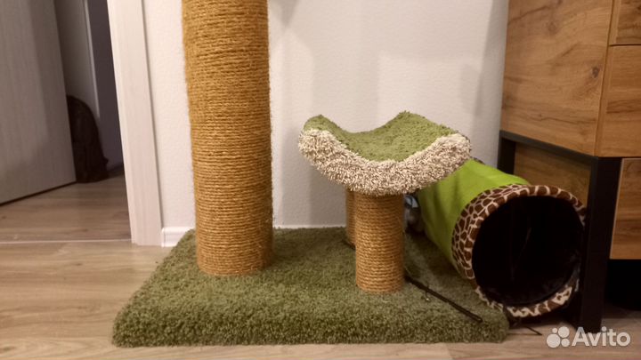 Когтеточка