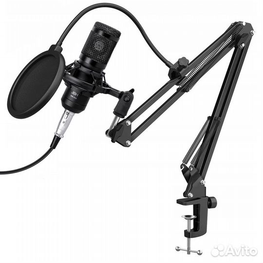 Профессиональный конденсаторный микрофон BM800 ISA