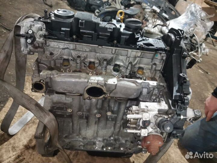 Двигатель Ford Ecosport 1.5 2015
