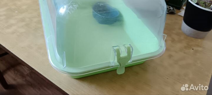 Террариум для улиток