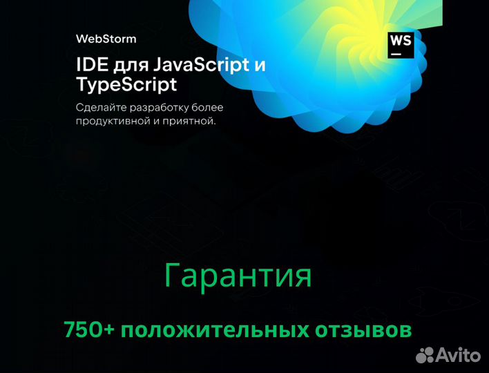 Лицензия Jetbrains WebStorm на 12 мес