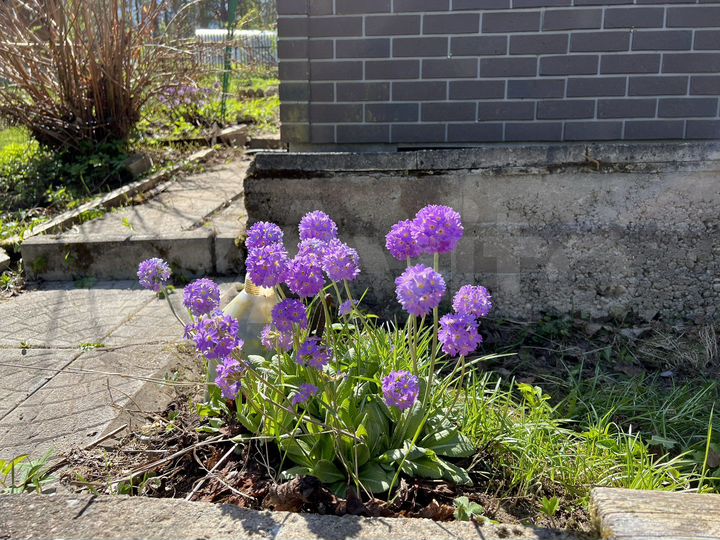 Дача 95 м² на участке 16,4 сот.