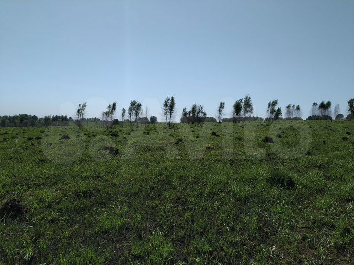 Участок 7 га (СНТ, ДНП)