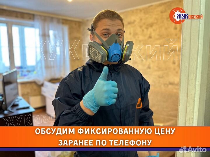 Уничтожение тараканов, клопов