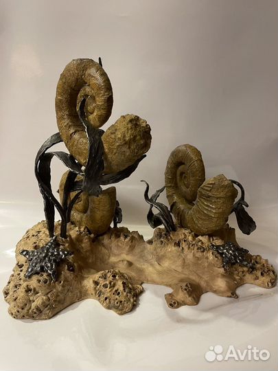 Авторская палеонтологическая инсталляция. Аммониты