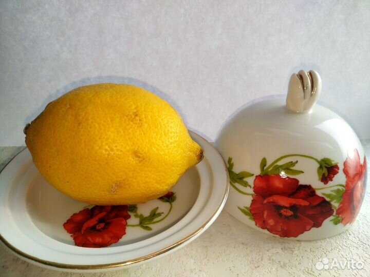 Лимонница керамика новая
