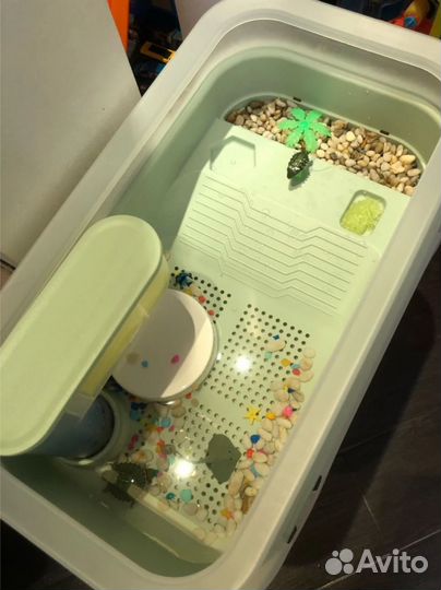 Аквариум террариум для черепах