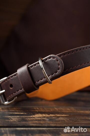 Ошейник для собак «Арчи»