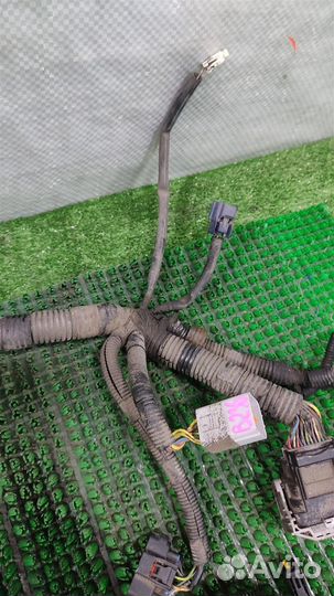 Жгут проводки двигателя Subaru Tribeca WX 2009