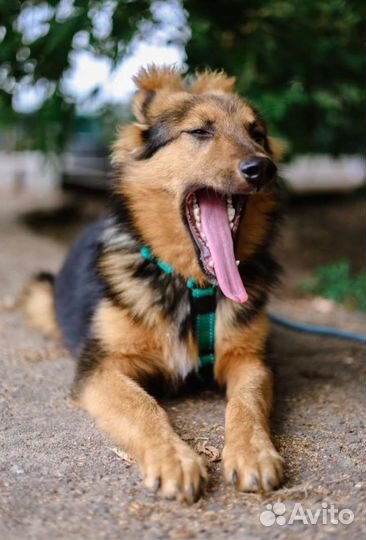 Мое детство проходит в приюте