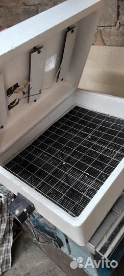 Инкубатор для яиц автоматический бу