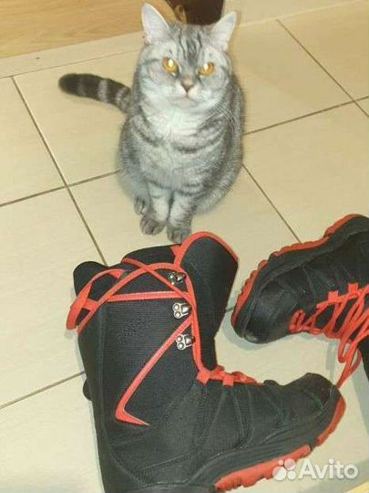 Сноубордические ботинки 41