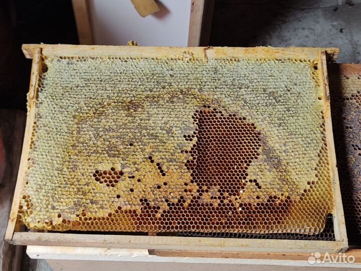 Рамки для пчел сушь
