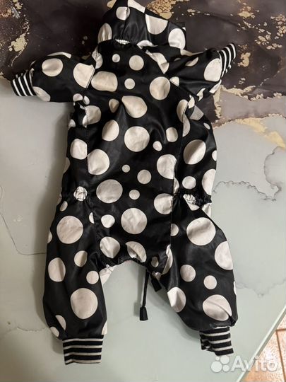 Одежда для собак