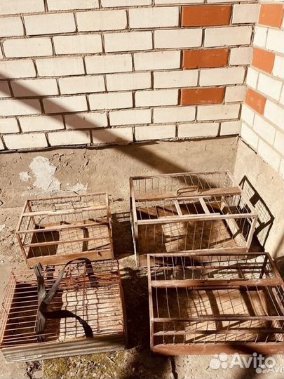 Клетка для голубей