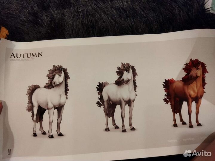 Книги с лошадьми