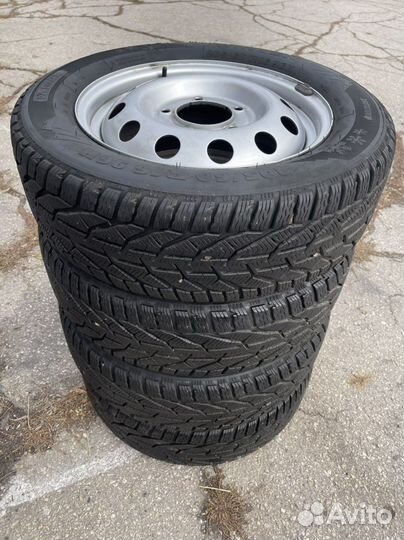 Tigar Winter 205/60 R16 77B