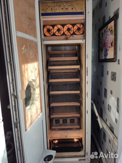 Инкубатор для яиц