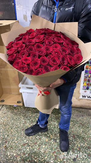 Букет Пионов, Букет роз, роза 51 шт, доставка Цвет