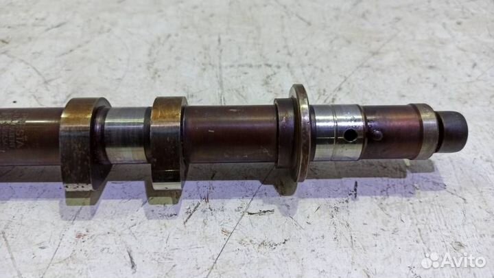 Распредвал впускной Ягуар