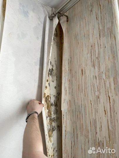 Строительная экспертиза