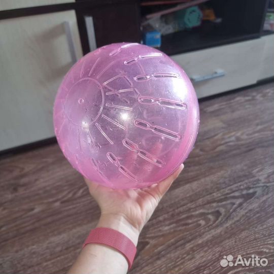 Шар для грызунов